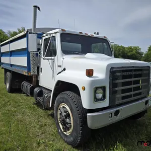 1981 International 1954 Grain Truck