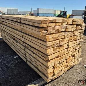Approx. (160) Pieces of Untreated Spruce Rough Cut Lumber 2x6x12
 UNRESERVED