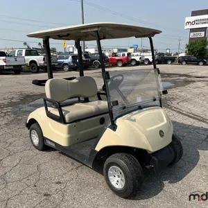 2017 Yamaha Electric Golf Cart