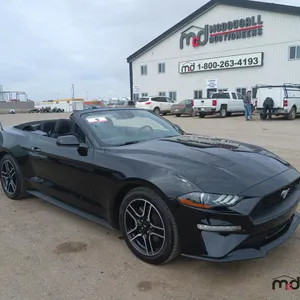 2023 Ford Mustang Convertible Car