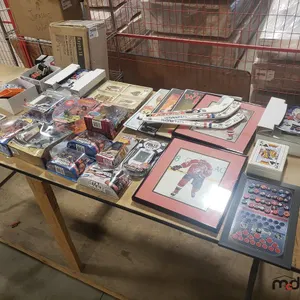 Hockey Collectables and Assorted Figures
 UNRESERVED