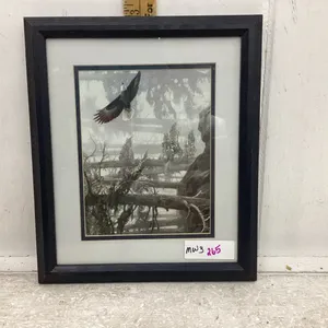 SMALL BALD  EAGLE PICTURE
