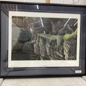 LARGE “CURIOSITY II” PICTURE BY ROD TRIBIGER