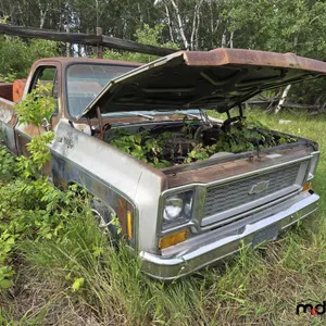 1973 Chevrolet Cheyenne Super 10 Truck (Non-Runner)
 UNRESERVED