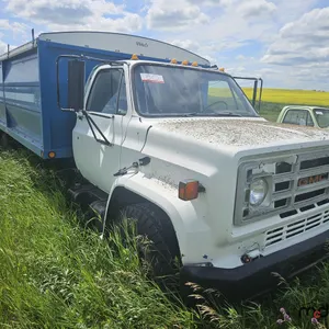 1981 GMC C7 S/A Grain Truck (Non-Runner)
 UNRESERVED