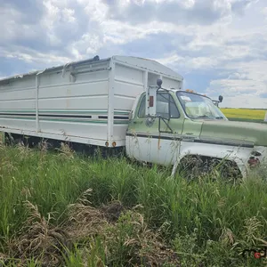 1975 GMC 6500 S/A Grain Truck (Non-Runner)
 UNRESERVED