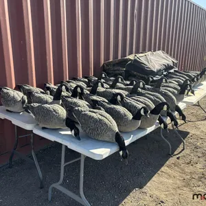 (40) Goose Hunting Decoys and (6) Flag Den Finisher Layout Blind (80"L x 36"W x 18"H)