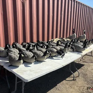 (40) Goose Hunting Decoys and a Avian-X A-Frame Blind (For Water Fowl Hunting)
