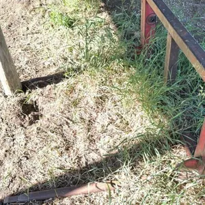Bale forks off Leon 707 loader