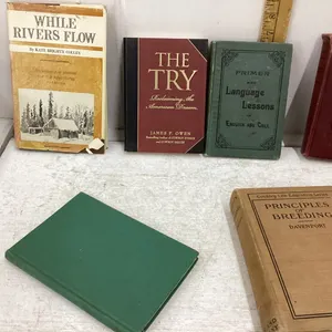 BOX OF BOOKS - WESTERN STORIES AND LESSON BOOKS