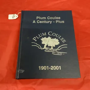 100 YEAR HISTORY OF PLUM COULEE - 1901-2001