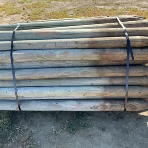 Bundle 6 foot post