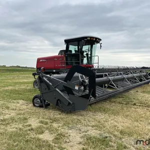 2010 Massey Ferguson 9435 Swather w/ 30' Header
 UNRESERVED