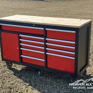 PRO MASTER ROLLING TOOL CABINET