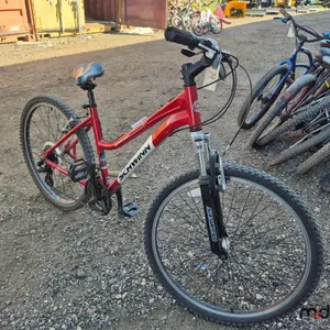 Schwinn Conversion Bike
 UNRESERVED