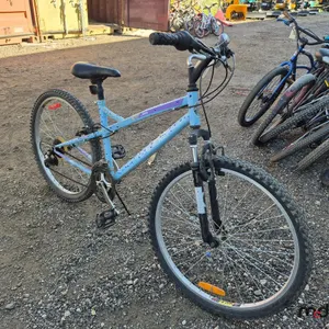 Raleigh Ambush Bike
 UNRESERVED