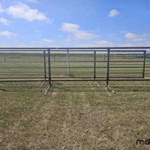 (2) 24' Free Standing Panels
 UNRESERVED
