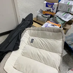 Large Pet Bed, Cat Litter and Patio Umbrella
 UNRESERVED