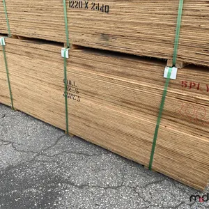 (60) 1/2" 4x8 CSP/DFP No Stamp Plywood (Unused)
 UNRESERVED