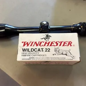 Box of Winchester wild cat .22 cal