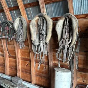 Horse harness and tack