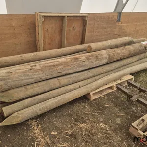 Assorted Fence Posts
 UNRESERVED