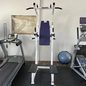 Atlantis Vertical Knee Raise Exercise Equipment
 UNRESERVED
