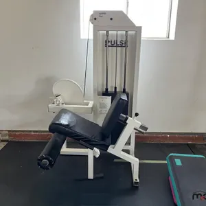 Pulse P306 Leg Extension Exercise Equipment
 UNRESERVED