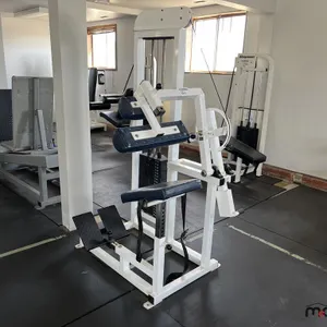Pulse P424 Back Extension Machine
 UNRESERVED