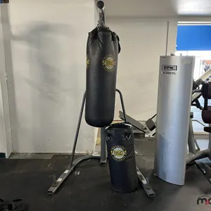 Ring Side Bag Stand w/ (2) Assorted Everlast Heavy Bags
 UNRESERVED
