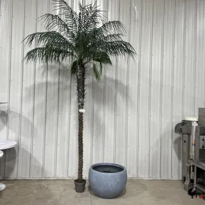 10' Plastic Palm Tree Decor w/ Pot
 UNRESERVED
