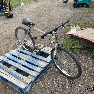 Giant Acapulco Bicycle
 UNRESERVED
