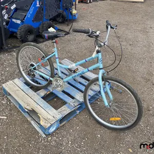 Everyday Traveller Bicycle
 UNRESERVED