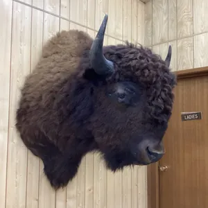 LARGE BUFFALO HEAD MOUNT