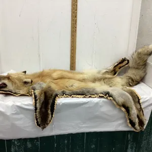 TANNED FOX PELT W/ FELT/MATERIAL BACKING