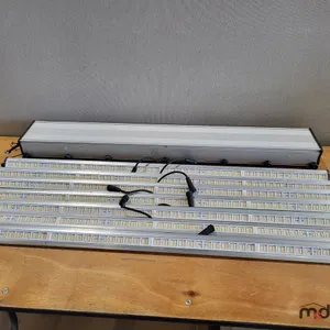 Fluence LED Grow System w/ (7) Lights 
 UNRESERVED