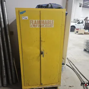 Safety Cabinet (35"x35"x67")
 UNRESERVED