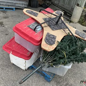 Various Christmas Trees
 UNRESERVED