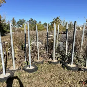 Tire Stands, Mesh Fencing & Antique Light Posts
 UNRESERVED