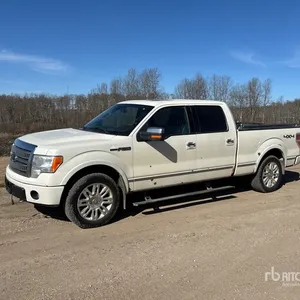 2009 Ford F-150 Platinum 4x4 Crew Cab Pickup
