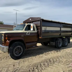 1979 Chevy C70 tag axel grain truck, 137,489 kms showing, VIN# C17DB8V101119, OWNER: ANTHONY J DYCK, SELLER: FRASER AUCTION __________________________