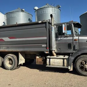 1994 International 9200 tandem axle grain truck, 085,195 kms showing, VIN# 2HSFMAHR1RC092210, **SAFETIED**, OWNER: Allan J Meadows & Garth D Meado