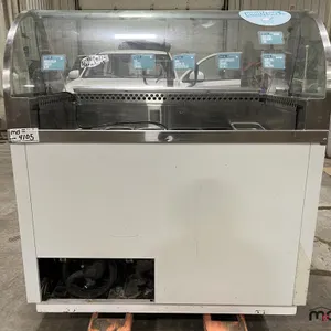 Nelson BD8-DIP-HV Ice Cream Freezer (47"x28"x51")
 UNRESERVED