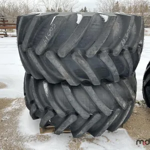 Pair of American Farmer
 UNRESERVED