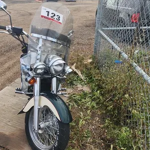 SALVAGE UNIT: 1998 Honda Shadow Motorcycle (Green-Cream) 
 UNRESERVED