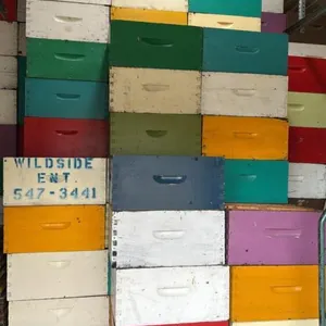 9-Frame Honey Super