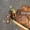 Ingersoll Rand Air Winch Winch