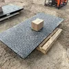 TMG FS10 10 ton Platform Scale (Unused)