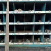 Bin of Hydraulic Fittings