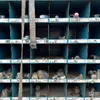 Bin of Hydraulic Fittings